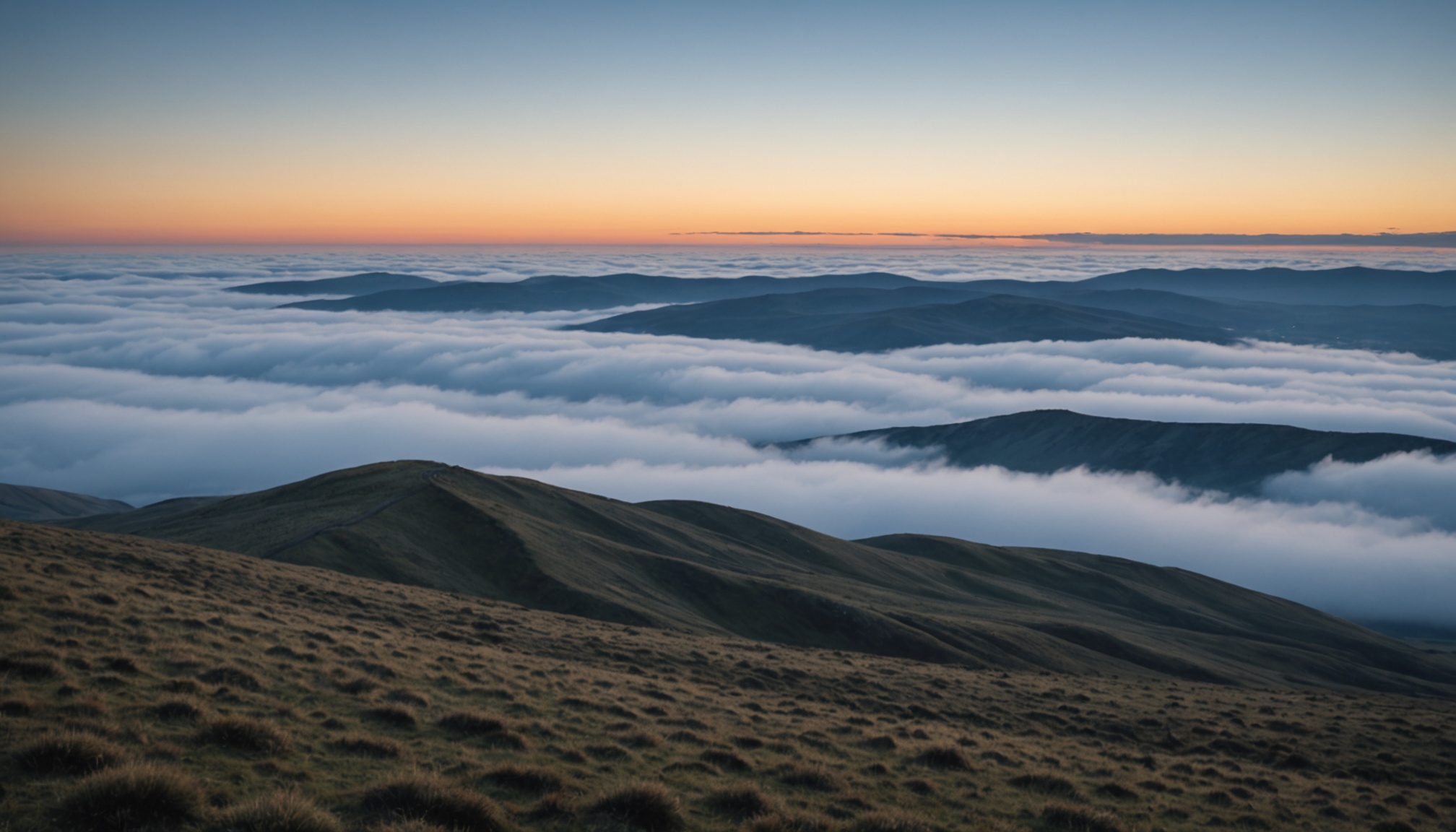 Illustration accompanying: The signal is the ceiling: Measurement limits of LLM-predicted experience ratings from open-ended survey text